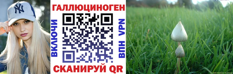 купить наркоту  mega рабочий сайт  Галлюциногенные грибы прущие грибы  даркнет Telegram  Люберцы 