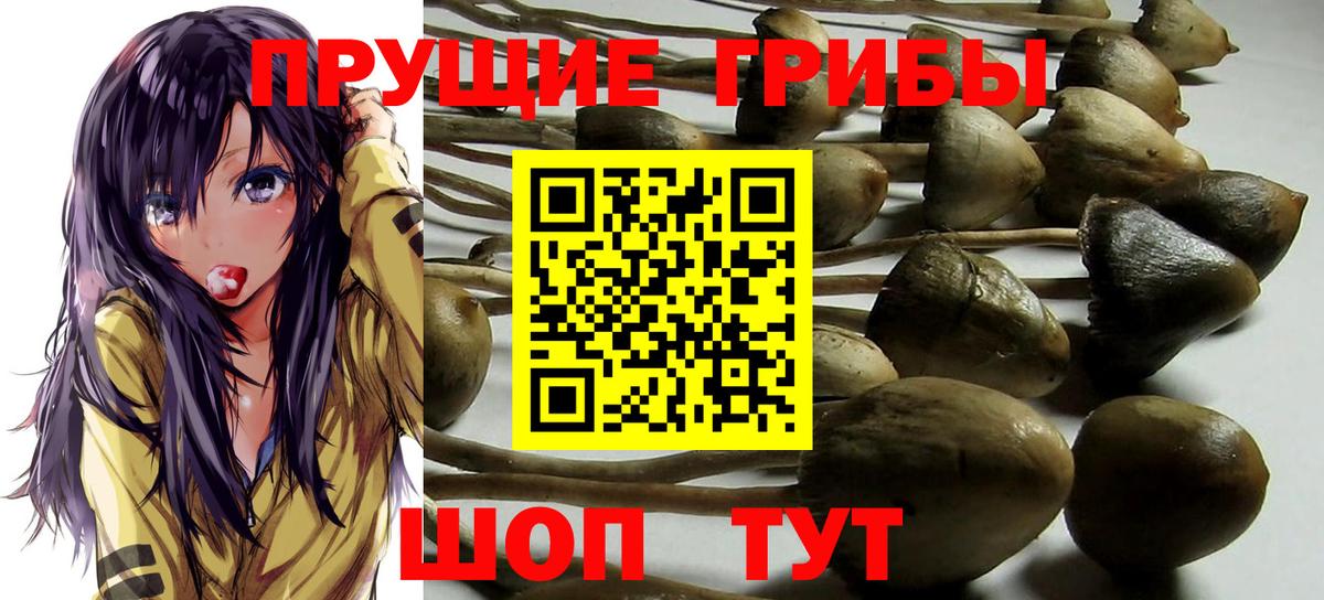 Люберцы  Галлюциногенные грибы мицелий  Вход с VPN 